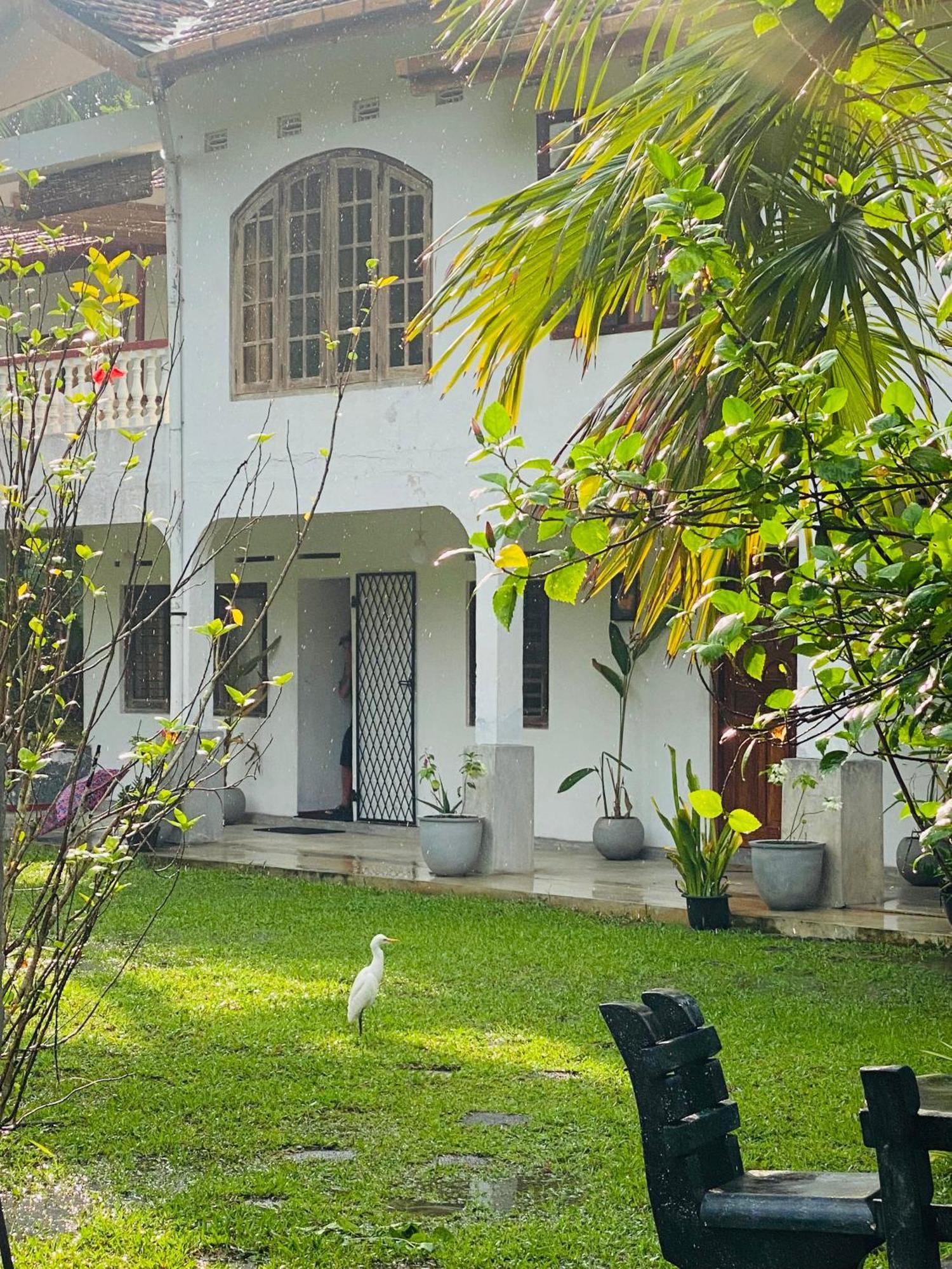 אמבלנגודה Sunny'S Garden Hotel מראה חיצוני תמונה